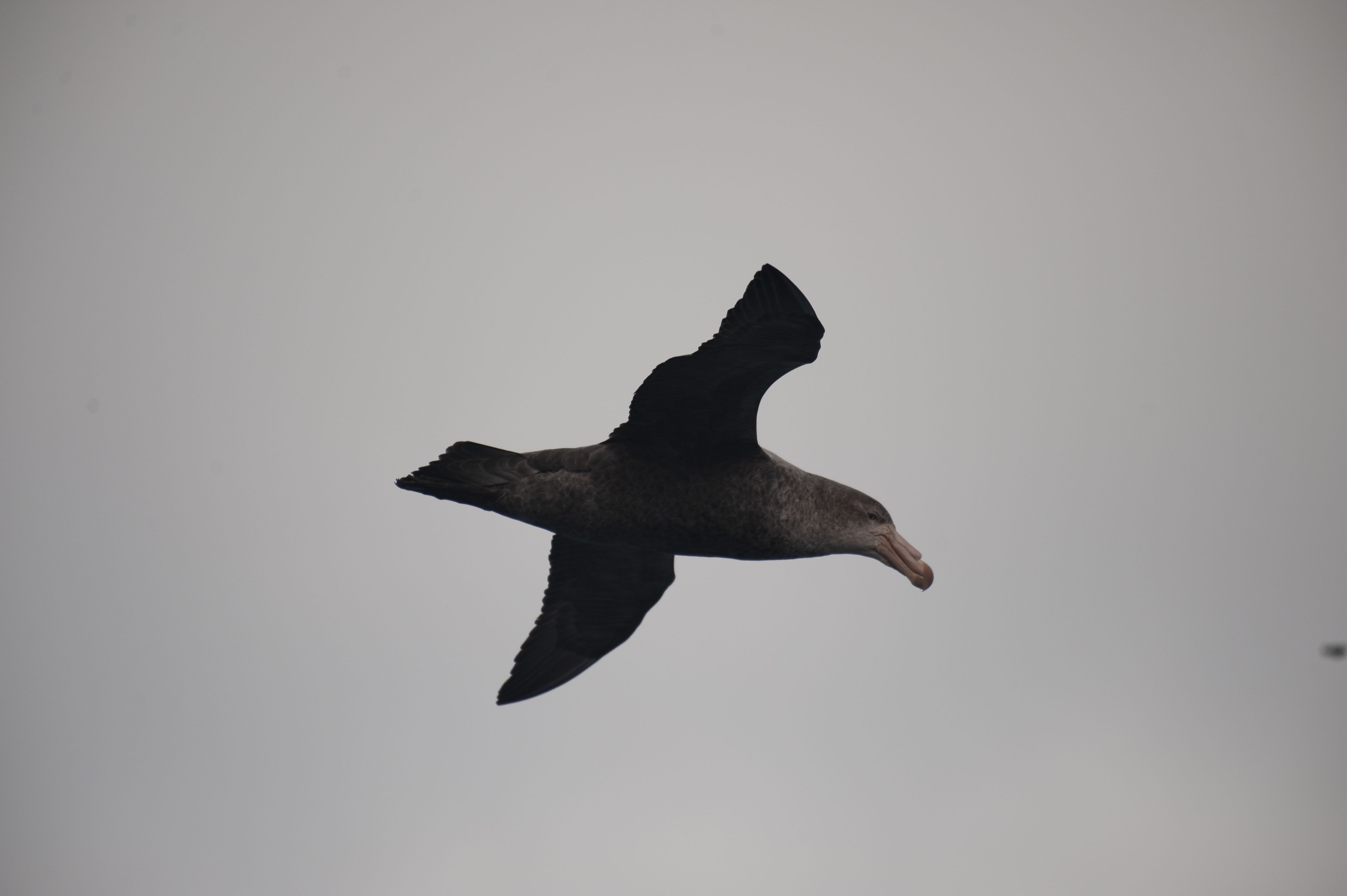 GYT 20220630 121234  DSC6104